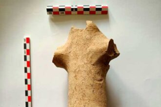 neamt fragment de amfora vechi de aproape 2 000 de ani descoperit pe santierul autostrazii a8 696b499f78143