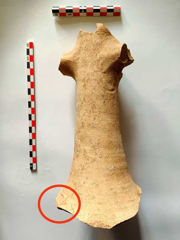 neamt fragment de amfora vechi de aproape 2 000 de ani descoperit pe santierul autostrazii a8 696b499f78143