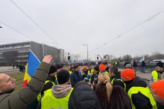 negrescu despre mercosur romania are nevoie de comert international si acces la piete noi 6970b8dc74c89