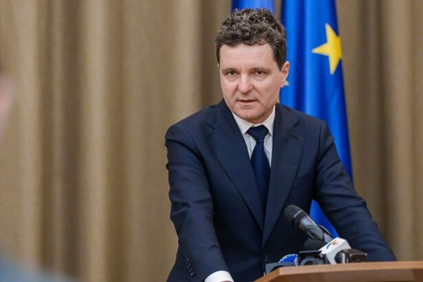 nicusor dan le a spus ambasadorilor straini cum vede relatia cu sua cand ar putea avea loc intalnirea cu donald trump 696906b0044bb