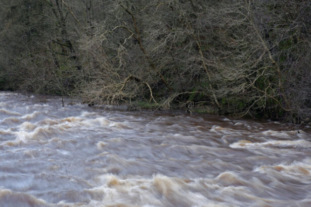 pericol de inundatii hidrologii au emis cod galben si portocaliu de viituri in mai multe judete ale tarii 695e378752c66