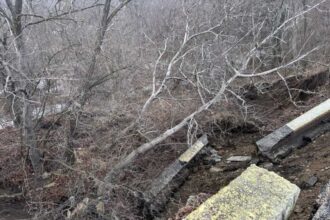 prahova alunecare de teren cu prabusirea terasamentului pe bulevardul carol i din campina 696618f83f658