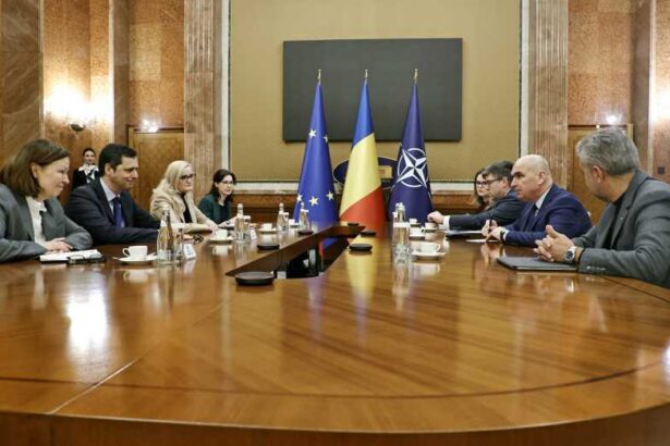 premierul a discutat cu reprezentantii e on romania despre decontarea sumelor restante catre furnizorii de energie 6971fab952514