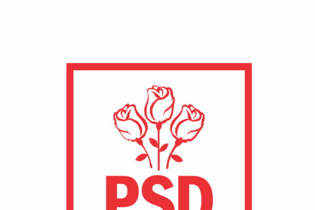 psd anunta ca va sustine reforma administratiei doar la pachet cu programul propriu privind stimularea economiei nationale cele doua componente nu pot si nu trebuie separate 6979cb6284304