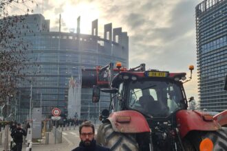 psd victorie in pe acordului mercosur va fi verificat de curtea de justitie a uniunii europene 6970c76c3c54c