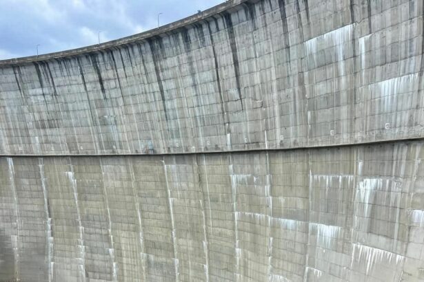 reabilitarea bazinului de apa paltinu investitie de 115 milioane lei aprobata de guvern 697caa2d2b269