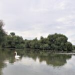 reducere de 50 la impozitul pe proprietate in delta dunarii si muntii apuseni guvernul a clarificat conditiile de aplicare amanare pentru ro e factura 697c8969d5e6a