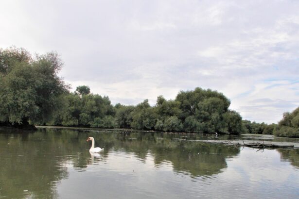 reducere de 50 la impozitul pe proprietate in delta dunarii si muntii apuseni guvernul a clarificat conditiile de aplicare amanare pentru ro e factura 697c8969d5e6a