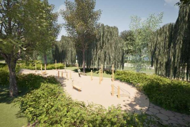 satu mare zona noroieni se transforma in parc urban 69777f555e3ac