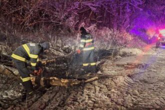 sibiu interventii ale pompierilor pentru indepartarea mai multor copaci cazuti pe carosabil 6958f8f022386