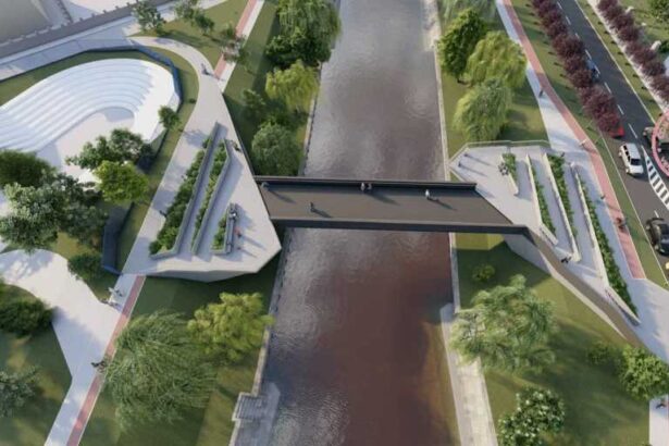 timis primaria timisoara sustine ca directia judeteana de cultura blocheaza reconstructia pasarelei indragostitilor 697899cd14d1b