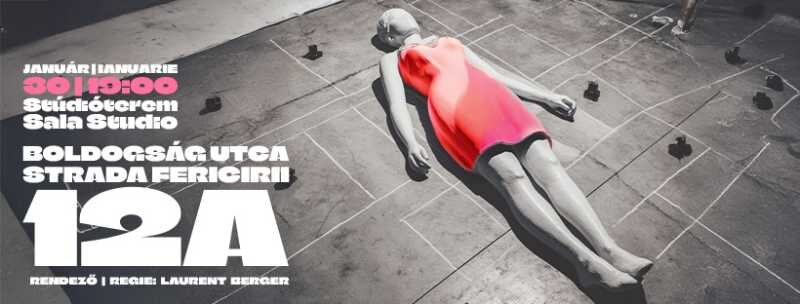 timis teatrul maghiar de stat prezinta o premiera document despre violenta domestica 697a236a769a5