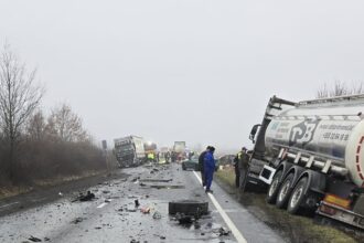 tragedia din timis bolojan a transmis condoleante in numele guvernului 6979210a0e7ab