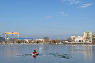 tulcea o rata prinsa in gheata de pe lacul ciuperca salvata de pompieri 69679fb0b44e8