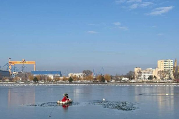tulcea o rata prinsa in gheata de pe lacul ciuperca salvata de pompieri 69679fb0b44e8