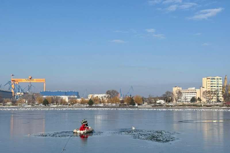 tulcea o rata prinsa in gheata de pe lacul ciuperca salvata de pompieri 69679fb0b44e8