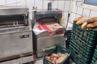 vaslui unitate de panificatie inchisa si amendata cu 10 000 de lei de inspectorii dsvsa galerie foto 696f8937d1ce3