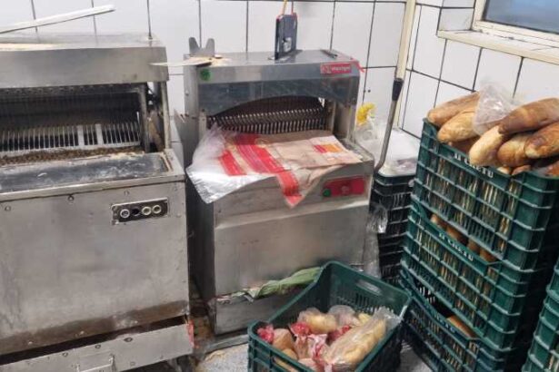 vaslui unitate de panificatie inchisa si amendata cu 10 000 de lei de inspectorii dsvsa galerie foto 696f8937d1ce3