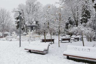 video boc posteaza un videoclip cu el curatand zapada din fata primariei cluj napoca haideti sa ne curatam trotuarele 695a3c43011fc scaled 1