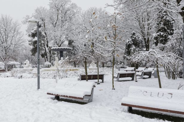 video boc posteaza un videoclip cu el curatand zapada din fata primariei cluj napoca haideti sa ne curatam trotuarele 695a3c43011fc scaled 1