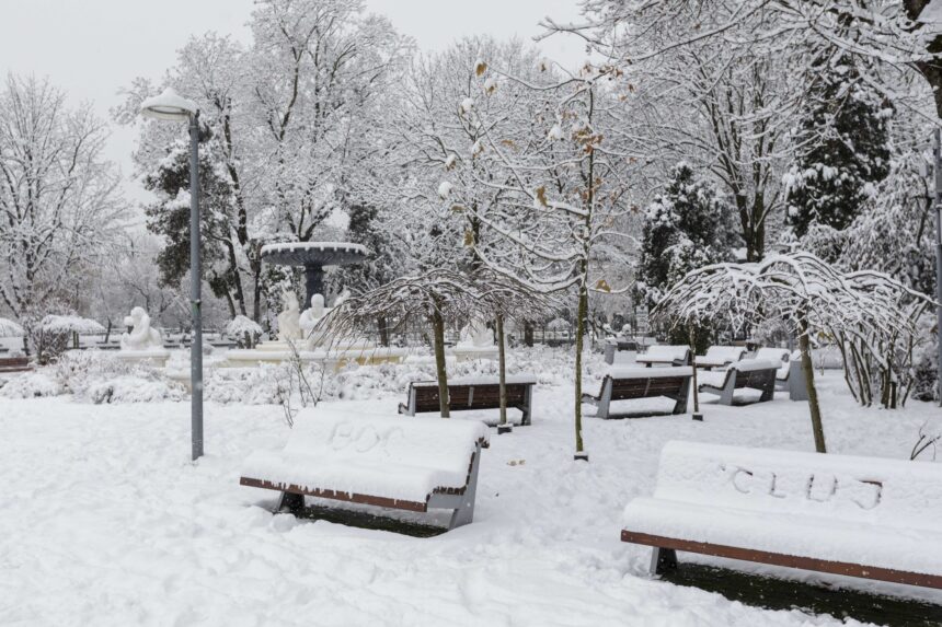 video boc posteaza un videoclip cu el curatand zapada din fata primariei cluj napoca haideti sa ne curatam trotuarele 695a3c43011fc scaled 1