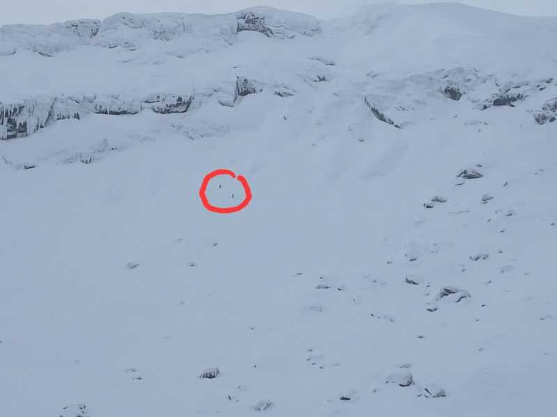 video sibiu avalansa de mari dimensiuni la balea lac declansata de doi schiori care au scapat nevatamati 6957a518ad729