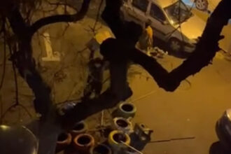 video un barbat e anchetat dupa ce a distrus mai multe casute pentru pisici in sectorul 3 imaginile au devenit virale pe internet 6971d9e28134a