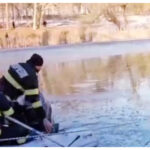 video un nepalez a sarit primul in lacul inghetat intr un parc din craiova pentru a salva o fetita de 5 ani 696c96069d220