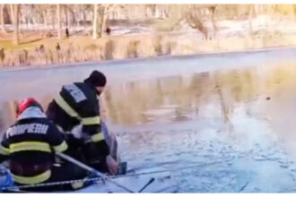 video un nepalez a sarit primul in lacul inghetat intr un parc din craiova pentru a salva o fetita de 5 ani 696c96069d220