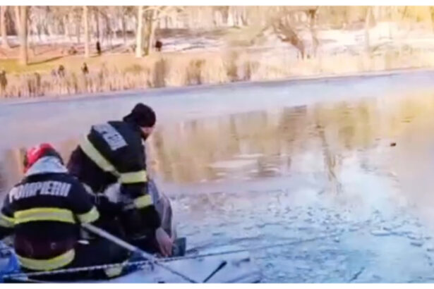video un nepalez a sarit primul in lacul inghetat intr un parc din craiova pentru a salva o fetita de 5 ani 696c96069d220