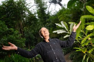 world is in better place than when eden project created 25 years ago founder says 69560eee28ec2