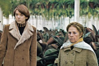 bud cort star of harold and maude dies aged 77 698ce62278741