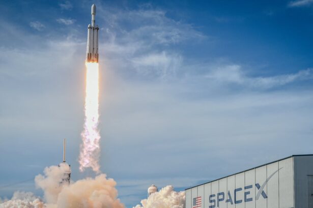 elon musk merges spacex with artificial intelligence company xai 6981476eeb236