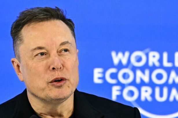 elon musk posted about race almost every day in january 698de7472a299