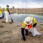 enforcement of laws against polluters nearly non existent in us analysis finds 698f22db72d6f