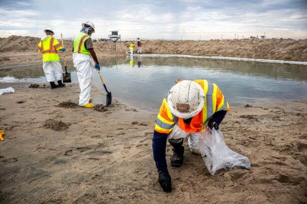 enforcement of laws against polluters nearly non existent in us analysis finds 698f22db72d6f