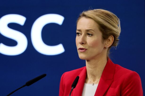 eu foreign policy chief criticises fashionable euro bashing by the us 6991fc9578f6d