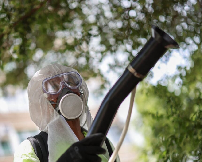 excruciating tropical disease can now be transmitted in most of europe study finds 6995af82578eb