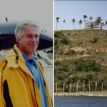 revealed epstein cultivated relationship with cbp officer causing us investigation 699794ac30b99