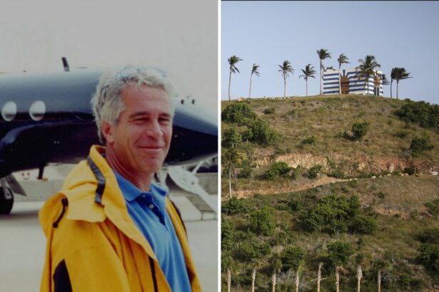 revealed epstein cultivated relationship with cbp officer causing us investigation 699794ac30b99