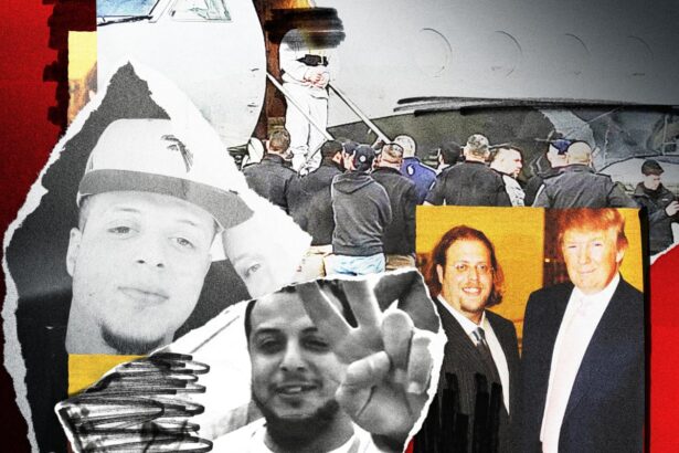 revealed private jet owned by trump friend used by ice to deport palestinians to west bank 6985247e104b1