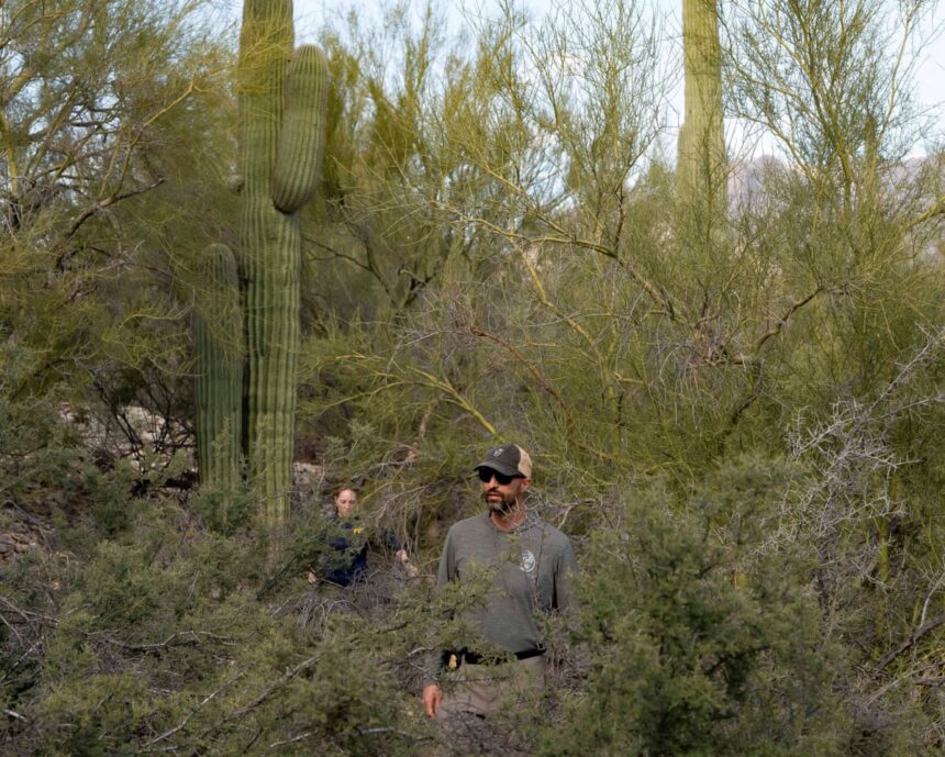 search for savannah guthries mother continues with 18000 plus calls pouring in 698de422e78f8