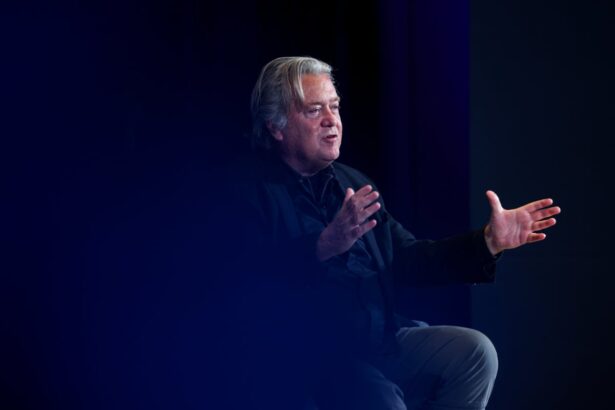 steve bannon calls for immigration agents at polling sites during midterms 6983a21fbefdd