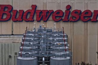 stocks making the biggest moves premarket cisco anheuser busch rollins fastly and more 698dccee6b8c1