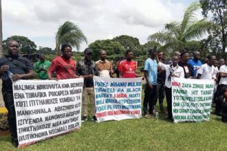 thousands of malawi businesses close in protest over tax changes 69879b8c9da01