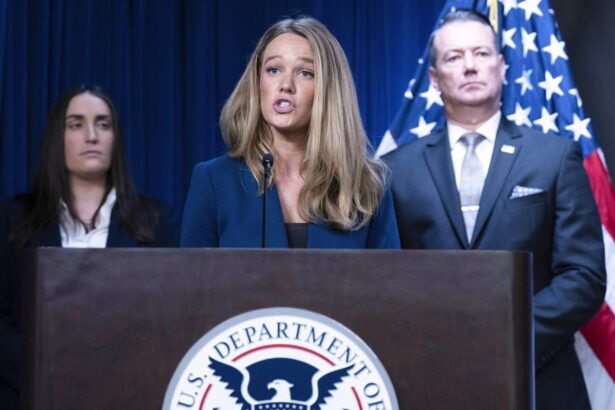 top dhs spokesperson to exit role amid growing outrage over trumps ice raids 6994accf1ea14