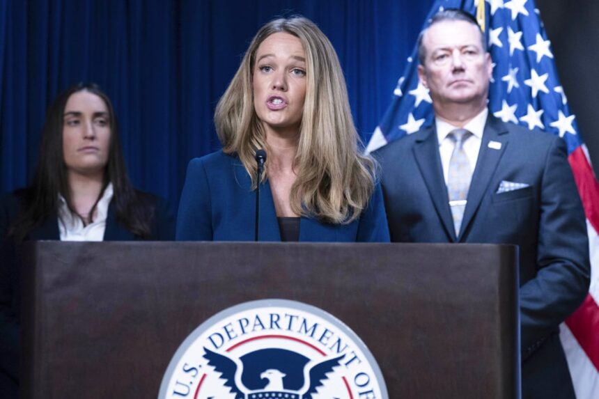 top dhs spokesperson to exit role amid growing outrage over trumps ice raids 6994accf1ea14