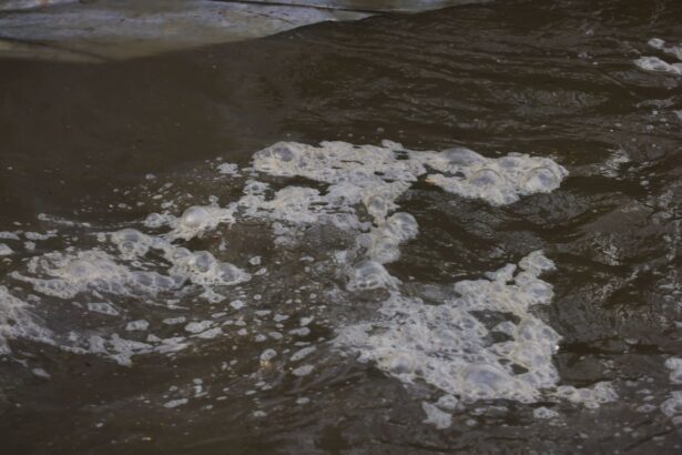 trump and maryland governor feud over potomac river sewage spill disaster 6995e5d4a8498