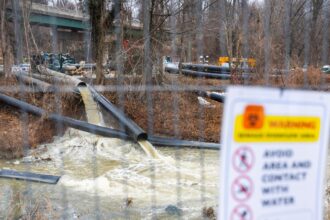 trump approves federal emergency declaration for potomac river sewage spill 6999ffd3c35a9