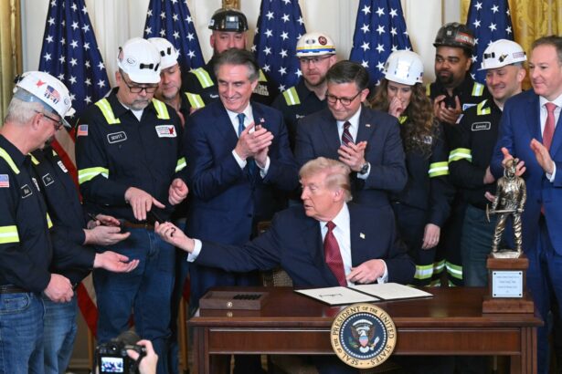 trump named undisputed champion of beautiful clean coal by industry group 698e062d0f4a0